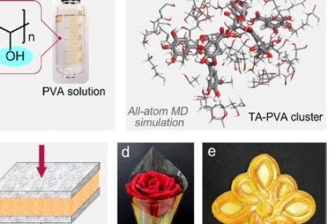 超越天然蛛絲！超高強(qiáng)度、極高韌性的超分子聚合物材料