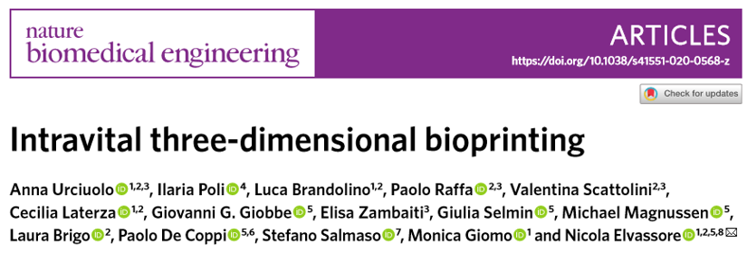 ?《Nat.Biomed.Eng.》:活體3D生物打印光敏聚合物水凝膠！有望代替常規(guī)生物打印