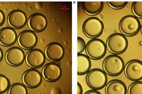 《Journal of Food Engineering》：利用微納微尺度3D打印技術制備微流控液滴生成芯片