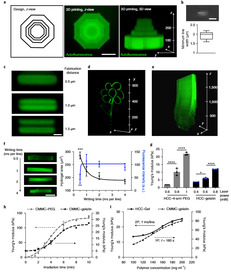 ?《Nat.Biomed.Eng.》:活體3D生物打印光敏聚合物水凝膠！有望代替常規(guī)生物打印