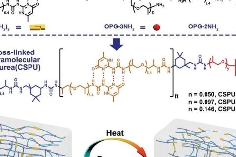 高韌性、可多次回收的超分子聚氨酯