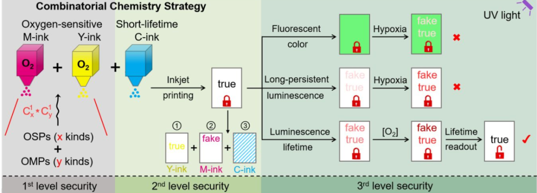 復旦大學王旭東《JACS》：三級加密！新一代發(fā)光防偽技術！