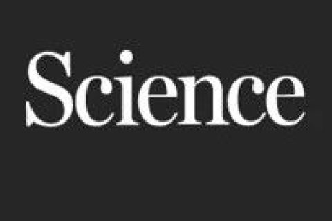 上海交大/硅酸鹽所今日《Science》：在無(wú)機(jī)塑性半導(dǎo)體領(lǐng)域取得重大突破!