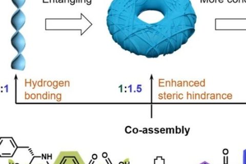 上海交通大學(xué)馮傳良/邱惠斌《AFM》：多級次手性超分子自組裝