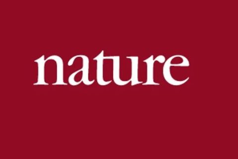 《Nature》：媽媽再也不用擔(dān)心我“脫發(fā)”了！