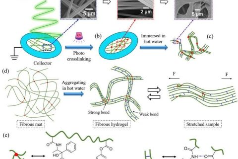 微納米纖維“邂逅”溫敏水凝膠，實現(xiàn)水下超快自恢復性能