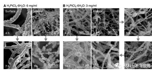 北京科技大學(xué)等《ACS Appl. Electron. Mater.》：使用碳納米管支架開發(fā)彈性，堅(jiān)固和高度多孔的金屬泡沫