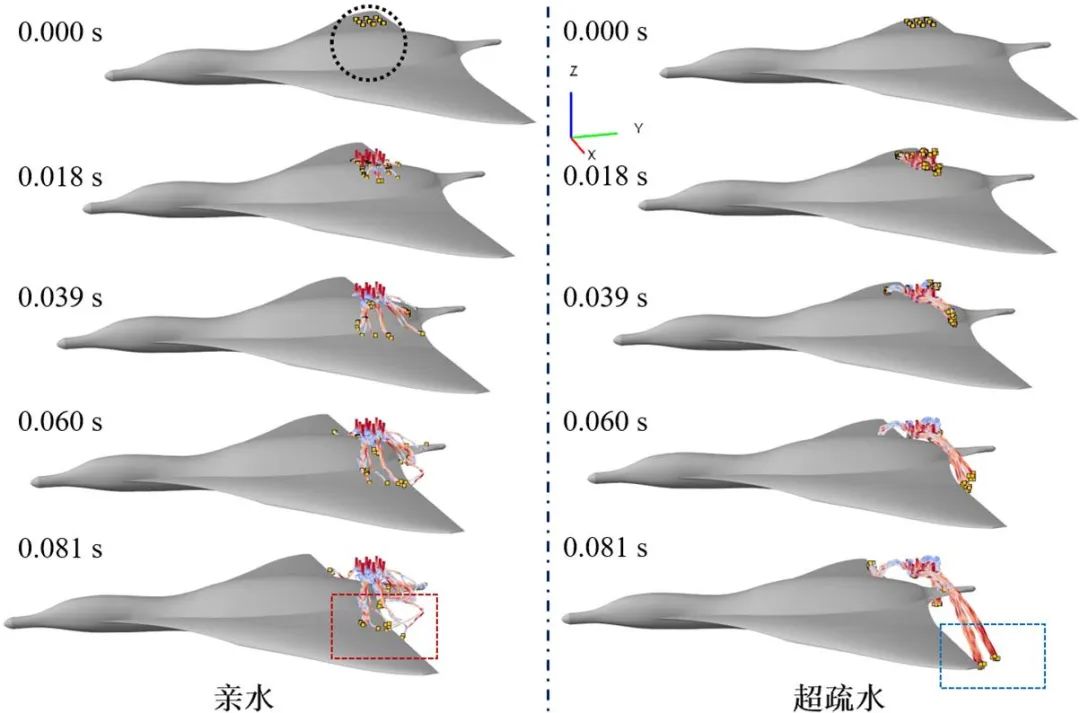 吉林大學(xué)任露泉院士團(tuán)隊(duì)：跨介質(zhì)飛行器仿生基礎(chǔ)理論研究——利用移動各向異性超疏水表面誘導(dǎo)液滴定向翻滾實(shí)現(xiàn)附著水高效脫附