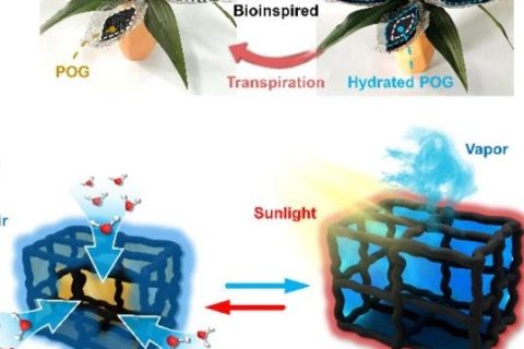 寧波材料所陳濤團隊《Angew》：受鐵蘭啟發(fā)的仿生有機凝膠進行大氣水分收集！