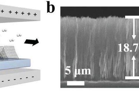 北京大學張錦院士團隊：垂直排列的石墨烯陣列！散熱技術新突破