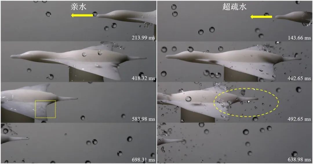 吉林大學(xué)任露泉院士團(tuán)隊(duì)：跨介質(zhì)飛行器仿生基礎(chǔ)理論研究——利用移動各向異性超疏水表面誘導(dǎo)液滴定向翻滾實(shí)現(xiàn)附著水高效脫附