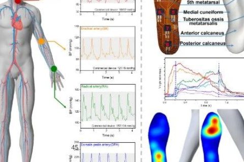 清華大學任天令團隊《ACS Nano》：在柔性壓力傳感器方面取得突破