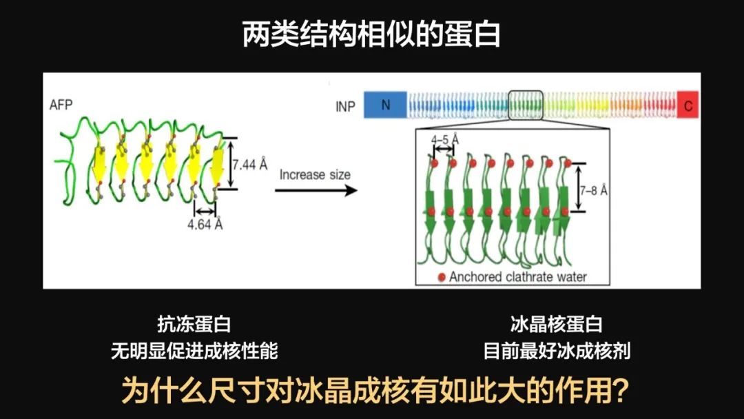 王健君：實證百年科學(xué)猜想，人體凍存未來可期