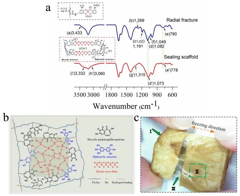 江漢大學曹一平《ACS Nano?》：仿生新成果！響應(yīng)空氣-水的復合材料，具有優(yōu)異的隔熱、自修復和自生長能力