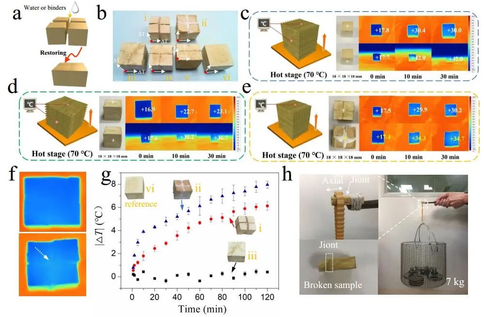 江漢大學曹一平《ACS Nano?》：仿生新成果！響應(yīng)空氣-水的復合材料，具有優(yōu)異的隔熱、自修復和自生長能力