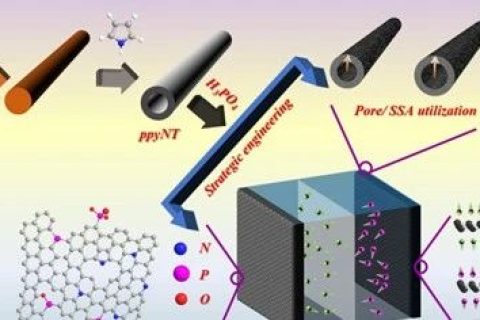 最大化利用孔道結構和雜原子，助力高性能碳基超級電容器