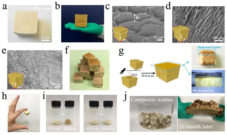 江漢大學曹一平《ACS Nano?》：仿生新成果！響應(yīng)空氣-水的復合材料，具有優(yōu)異的隔熱、自修復和自生長能力