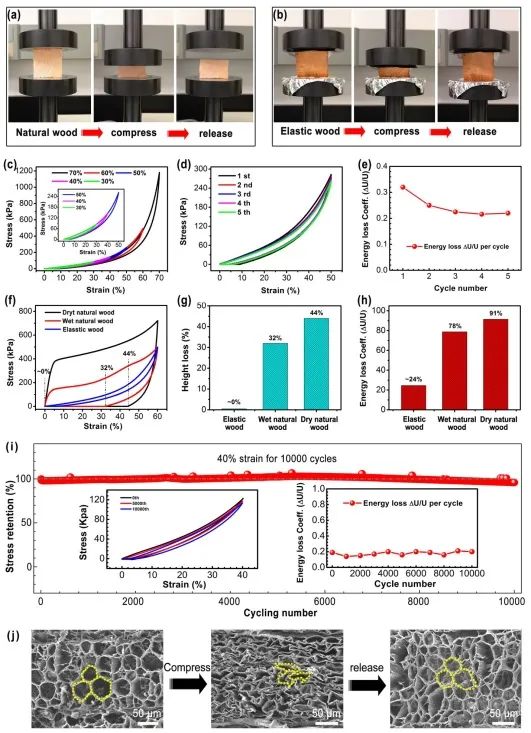 ?胡良兵/李騰《ACS Nano》：彈性木材！歷經(jīng)萬(wàn)次壓縮，性能如初！