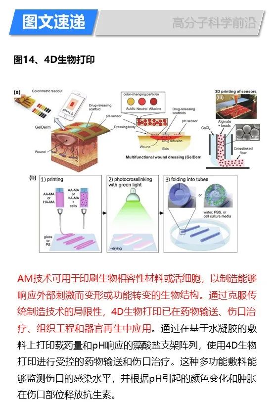 華盛頓州立大學林躍河《Materals Today》:3D/4D打印智能聚合物和納米復合材料