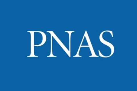 大連理工大學呂小兵教授團隊《PNAS》：在手性聚酯創(chuàng)制領(lǐng)域取得重要進展