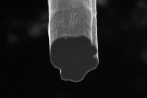 史上最強碳納米管纖維！強度超越凱夫拉，導(dǎo)電性首破10 MS/m