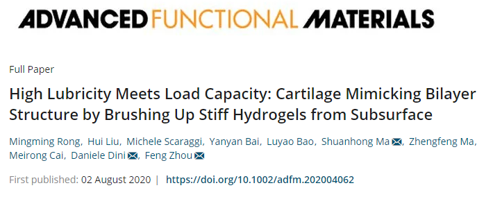 蘭州化物所周峰團(tuán)隊(duì)《AFM》：仿天然軟骨的雙層水凝膠實(shí)現(xiàn)高負(fù)載與低摩擦！
