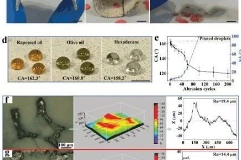 清華大學(xué)鄭泉水院士團(tuán)隊(duì)《AFM》：耐磨損、耐沖擊、自清潔的超疏水/超疏油微納復(fù)合材料