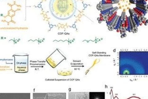 具有最高氫氧化物電導(dǎo)率的COFs膜，實(shí)現(xiàn)超快陰離子傳輸