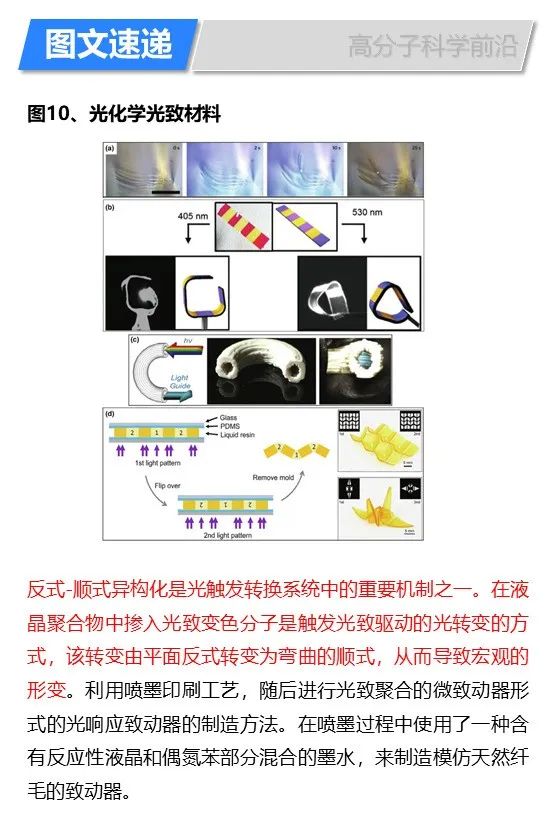 華盛頓州立大學林躍河《Materals Today》:3D/4D打印智能聚合物和納米復合材料