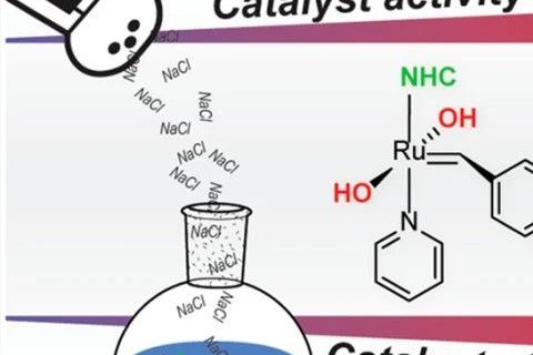 《JACS》：“開環(huán)易位聚合”像炒菜，加點鹽可控性更好！