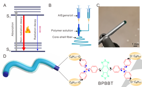 唐本忠院士/王東副教授?《Angew》：光熱轉(zhuǎn)換效率22.36%！神奇的AIE核殼納米纖維