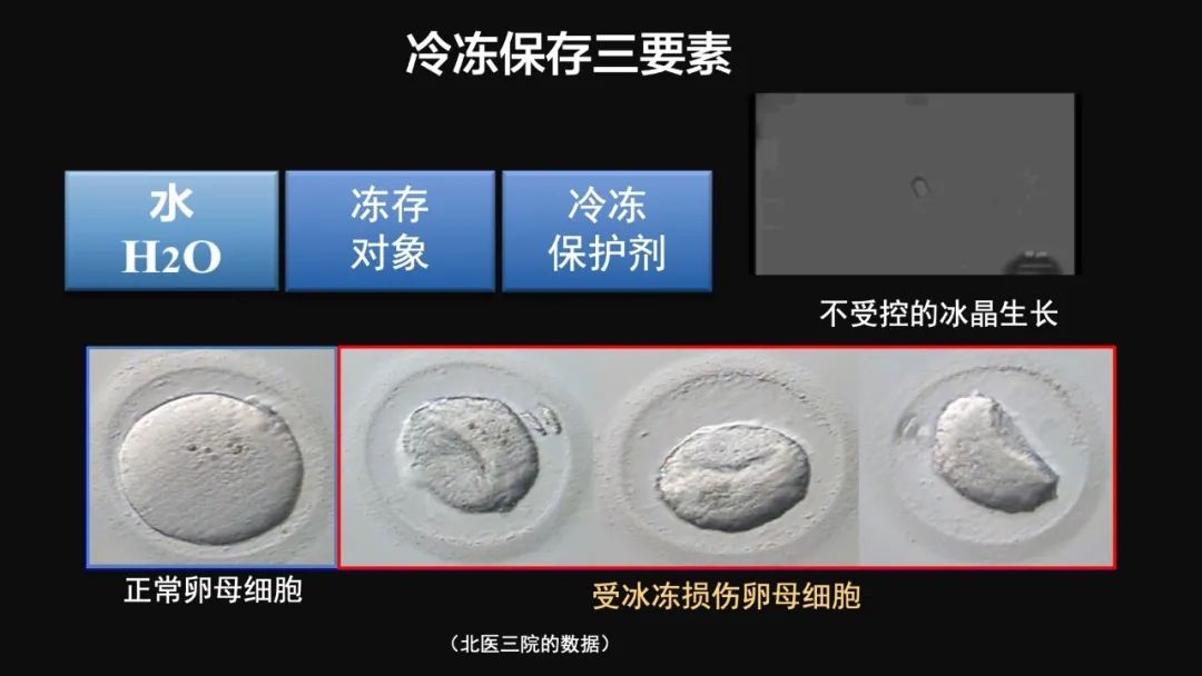 王健君：實證百年科學(xué)猜想，人體凍存未來可期