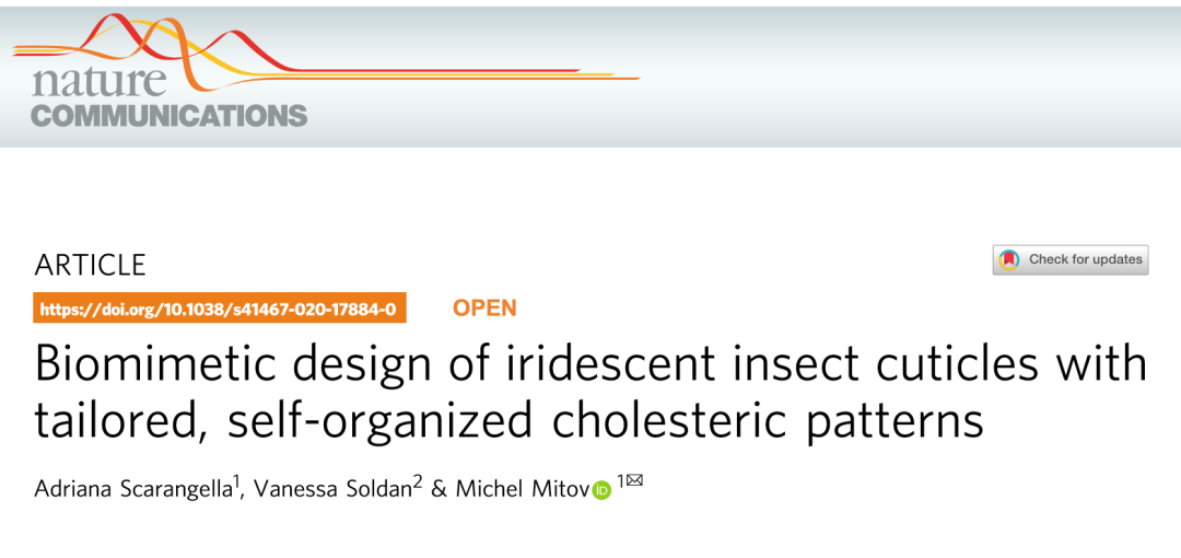 《Nature》子刊：仿昆蟲表皮的膽甾型圖案設計用于密碼學標簽！