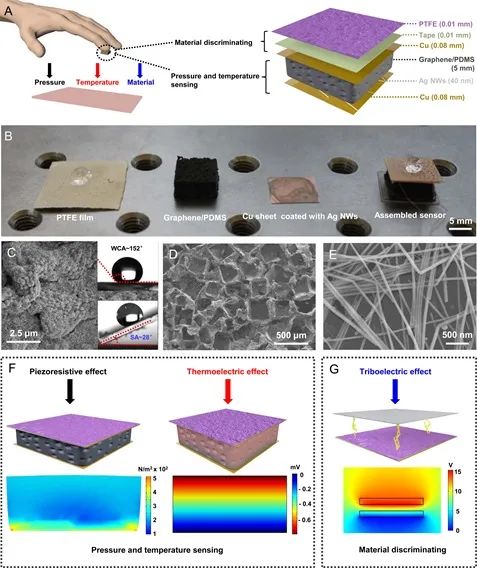 《Science Advances》：柔性多功能觸覺傳感器