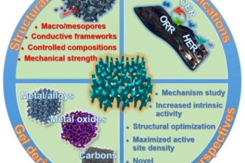 余桂華團隊《AM》：基于新型凝膠電催化劑的電化學能源轉(zhuǎn)換技術