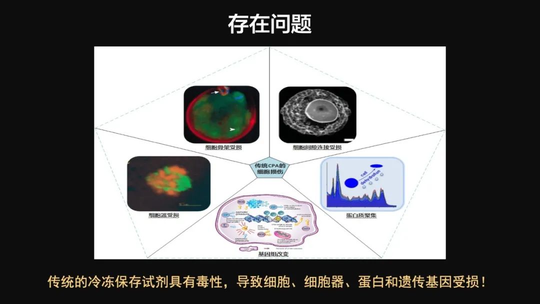 王健君：實證百年科學(xué)猜想，人體凍存未來可期