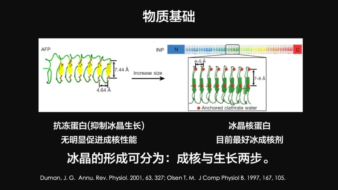 王健君：實證百年科學(xué)猜想，人體凍存未來可期