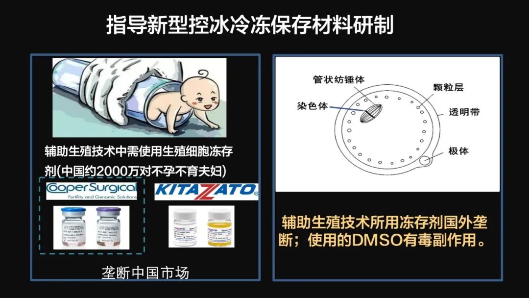 王健君：實證百年科學(xué)猜想，人體凍存未來可期