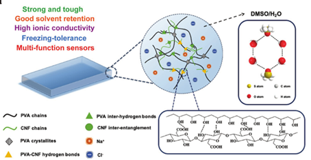 《AFM》：纖維素納米纖維增強離子導(dǎo)電水凝膠：制備簡單，應(yīng)用前景廣泛