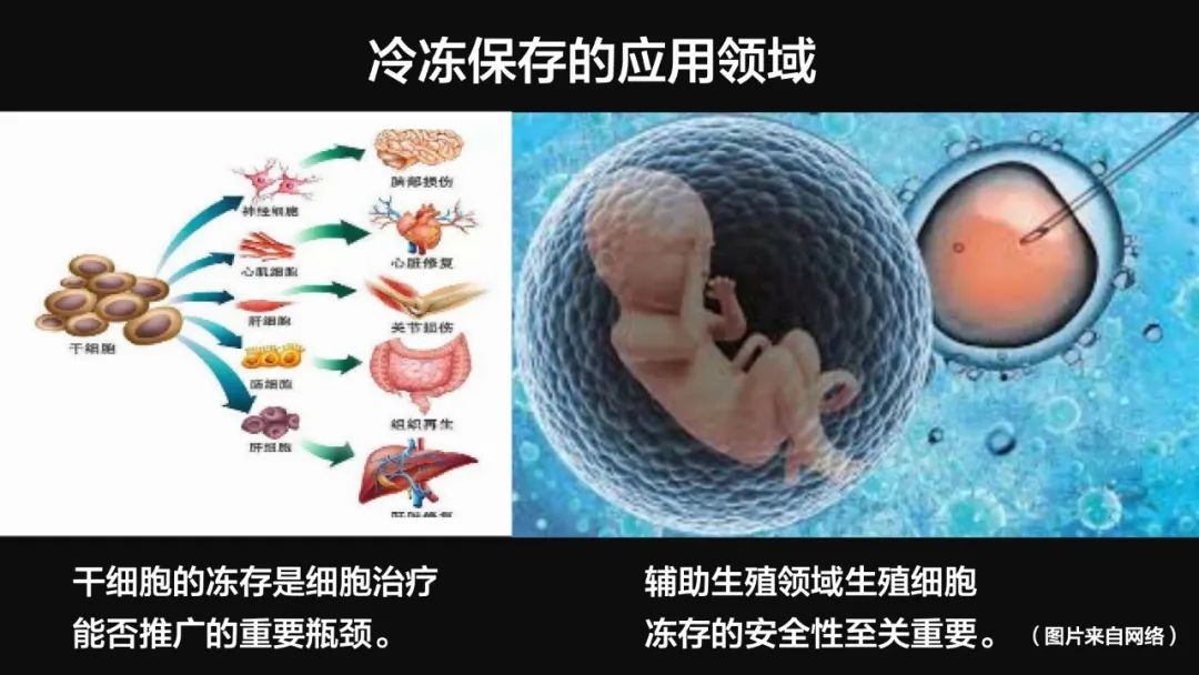 王健君：實證百年科學(xué)猜想，人體凍存未來可期