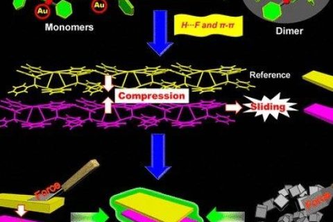 控制AIEgen晶體的分子運(yùn)動(dòng)，實(shí)現(xiàn)力致發(fā)光