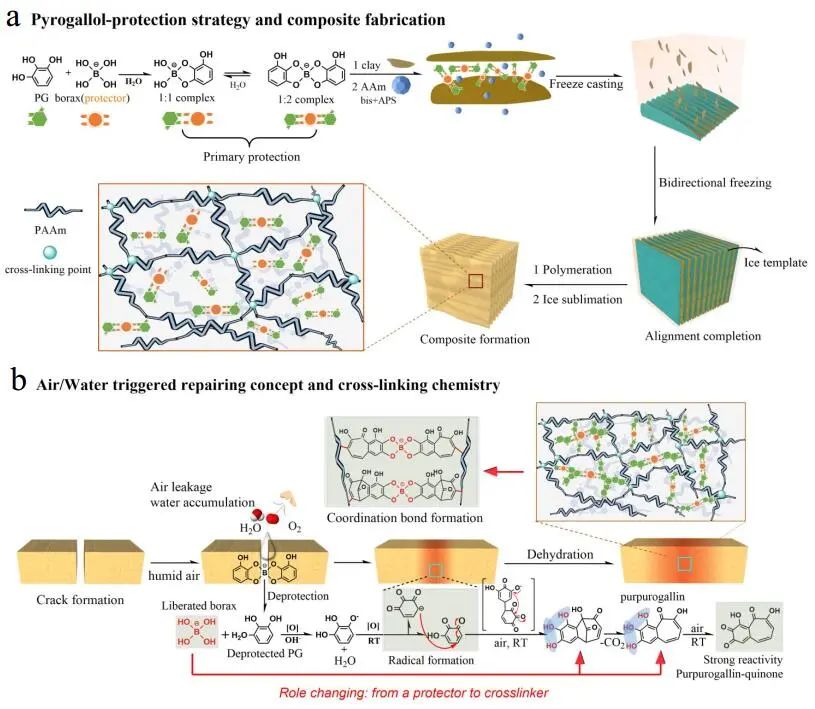 江漢大學曹一平《ACS Nano?》：仿生新成果！響應(yīng)空氣-水的復合材料，具有優(yōu)異的隔熱、自修復和自生長能力