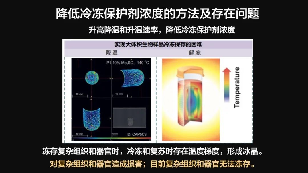 王健君：實證百年科學(xué)猜想，人體凍存未來可期