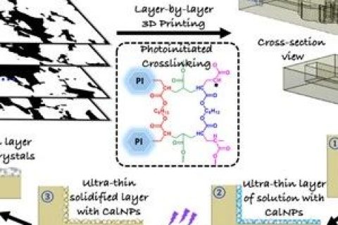 《Soft Matter》：利用微尺度3D打印和礦物涂層技術助力功能性微流控研究