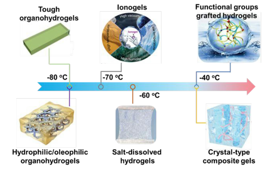 ?如何讓水凝膠不畏嚴寒？《Mater. Horiz.》綜述：在寒冷環(huán)境中保持軟濕材料活性的仿生防凍聚合物水凝膠