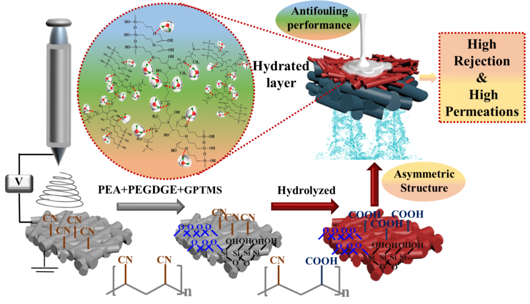 哈工大(威海)張瑛潔教授團(tuán)隊在超親水膜制備領(lǐng)域取得最新進(jìn)展