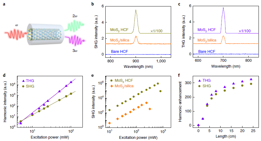 北京大學(xué)劉忠范院士/劉開輝教授等《自然·納米技術(shù)》：光纖內(nèi)二維材料的均勻生長實(shí)現(xiàn)超高非線性
