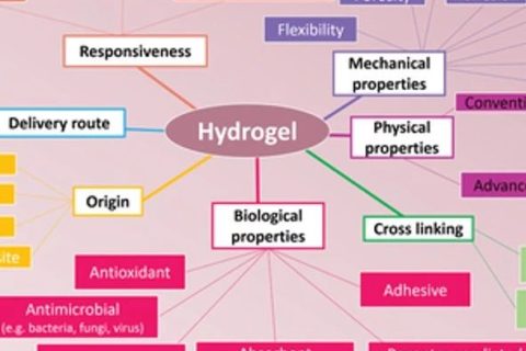 生物醫(yī)學水凝膠怎么選？先進的納米/水凝膠在生物醫(yī)學中的潛在應用：靜態(tài)，動態(tài)，多級和生物啟發(fā)