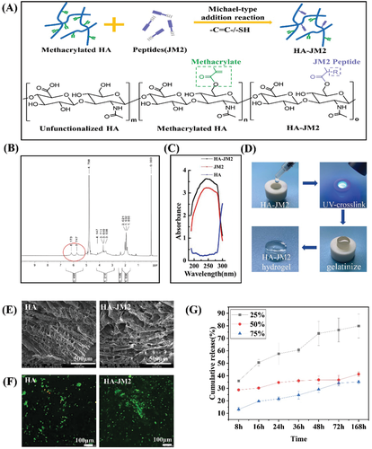 不懼腫瘤術(shù)后復(fù)發(fā)！上交大李海燕《AFM》：用于內(nèi)部組織修復(fù)和抗術(shù)后粘連的Janus水凝膠濕粘合劑，