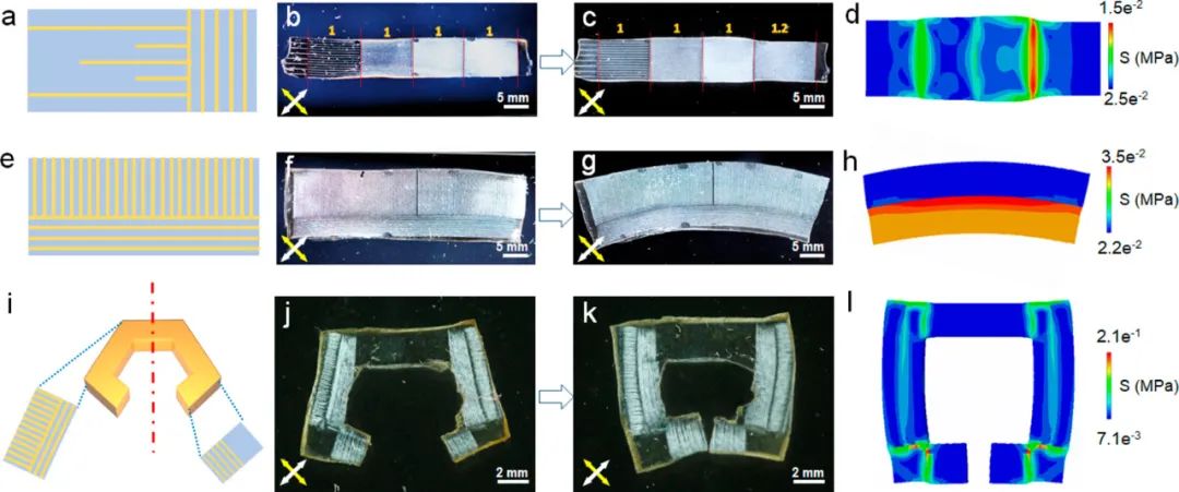 浙江大學高超、許震團隊《ACS Nano》:在剪切微印刷術(shù)研究方面再獲進展